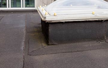 disadvantages of Winterborne Herringston flat roofs