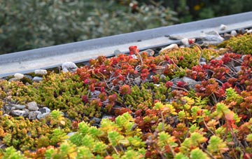 the cost of Winterborne Herringston green roof installation