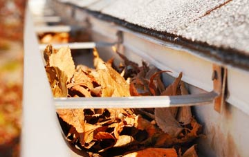 Winterborne Herringston gutter cleaning companies