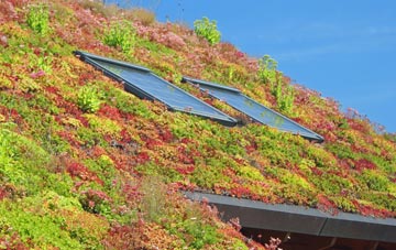 Winterborne Herringston living roof systems