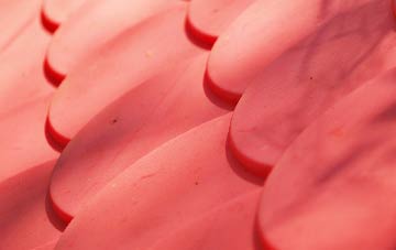 Winterborne Herringston plastic roof costs