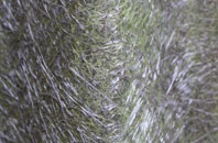 Winterborne Herringston fibreglass roof work