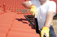 Winterborne Herringston roof cleaners